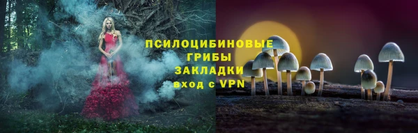 спиды Алзамай