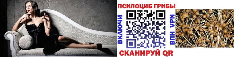 Псилоцибиновые грибы ЛСД  магазин    нарко площадка наркотические препараты  Одинцово 
